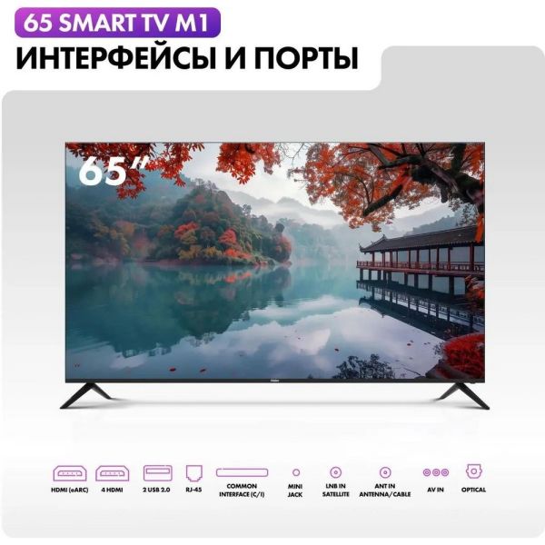 Телевизор Haier Smart TV M1 65